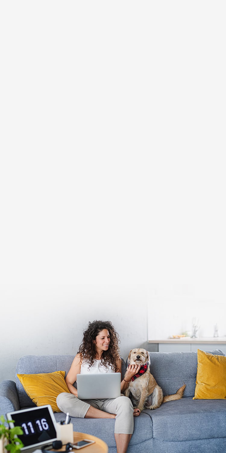 Woman sitting on a couch with a dog and using a laptop.